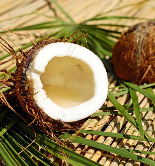 Kokosnuss - Warum wir sie so lieben